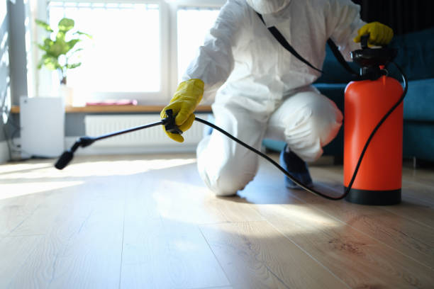Reliable Odor Removal contractor in Acton, CA by Dulley Family Biohazard Services